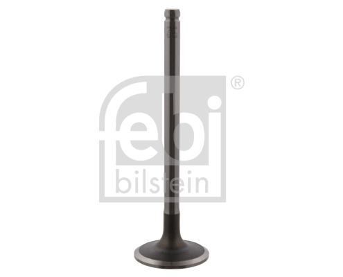 Intake Valve